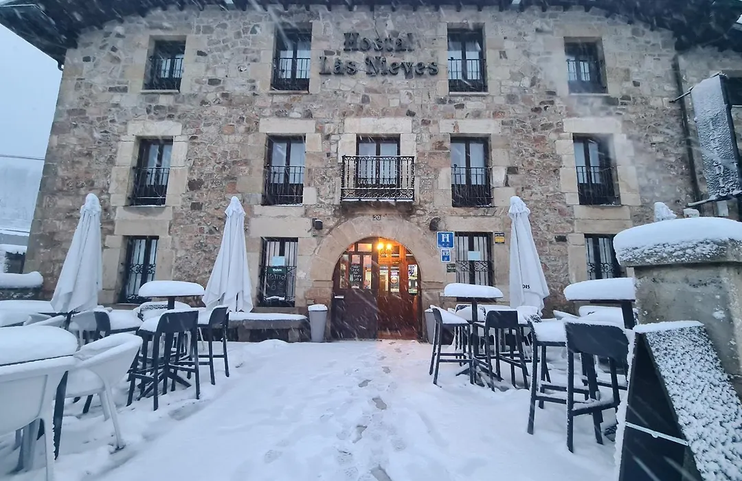 Hostal Las Nieves-1